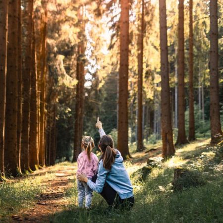 transmission_monichon transmettre sa foret grâce à l'avantage Monichon